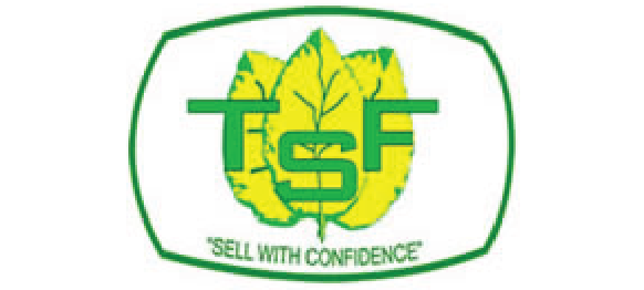 TSF